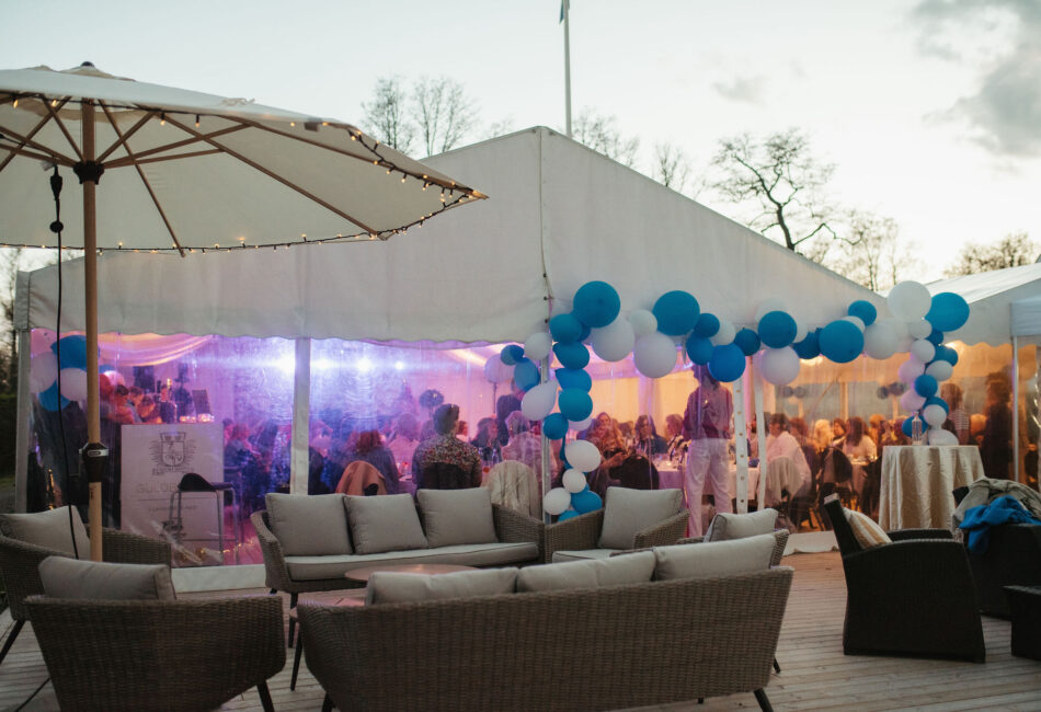 Festmingel på en 30års fest